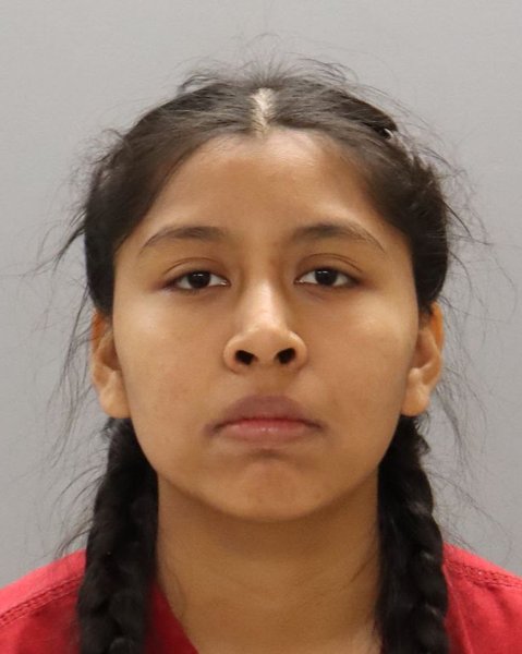 Mugshot of DANA CASTRO-LOPEZ
