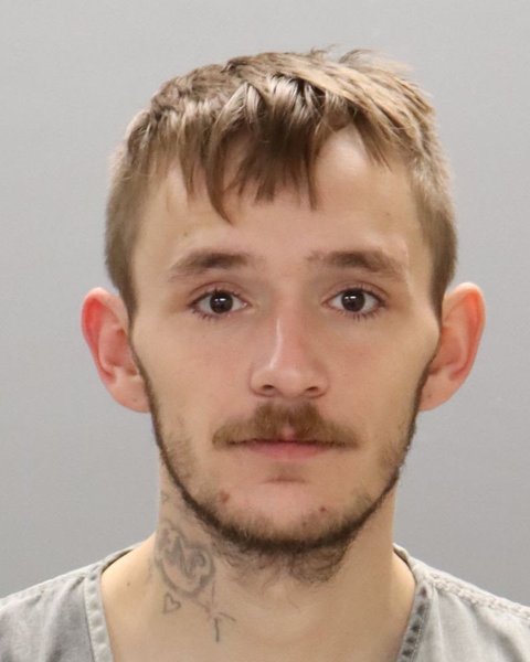 Mugshot of DAKOTA A REAVIS