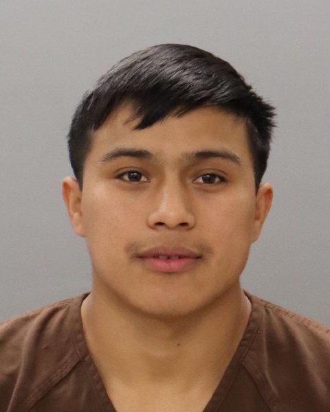 Mugshot of LUIS VENTURA-BAIL