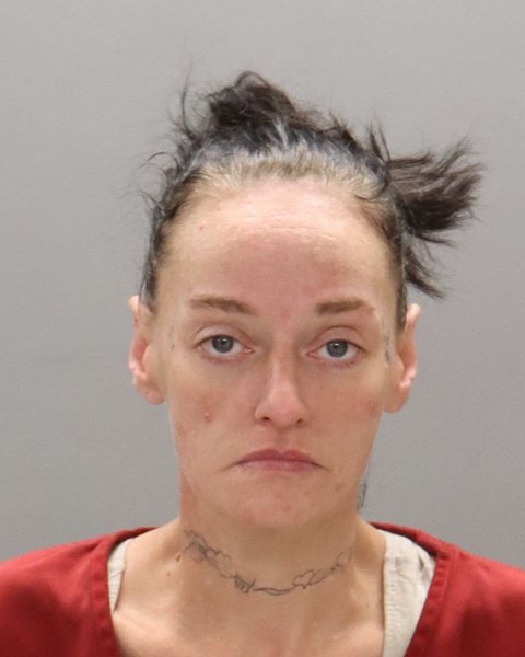 Mugshot of JESSICA RAY