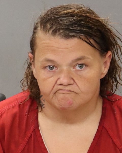 Mugshot of DANETTE RENEE WALLACE