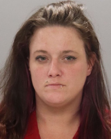 Mugshot of BRANDY MICHELLE LEE