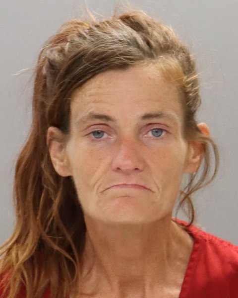 Mugshot of TONYA LYNN DIXON