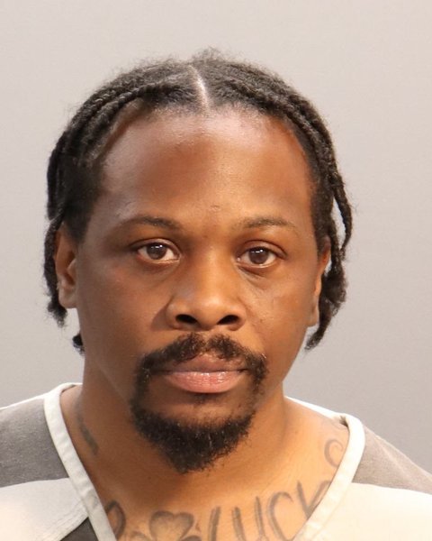 Mugshot of MARELLE DESHAWN JAMES-DYE