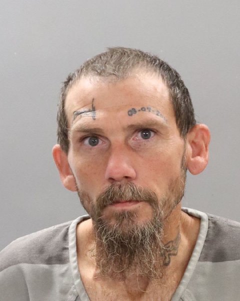 Mugshot of MICHAEL WAYNE SOLOMON