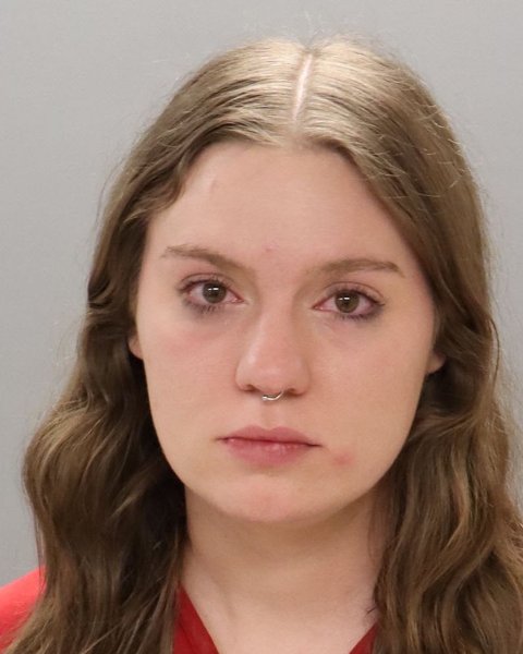 Mugshot of VANESSA LORENE FRASER