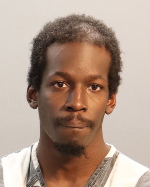 Mugshot of JAMES FANT