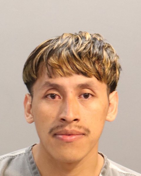 Mugshot of ANDRES SEBALLON