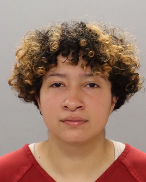 Mugshot of ALANDRA SANCHEZ