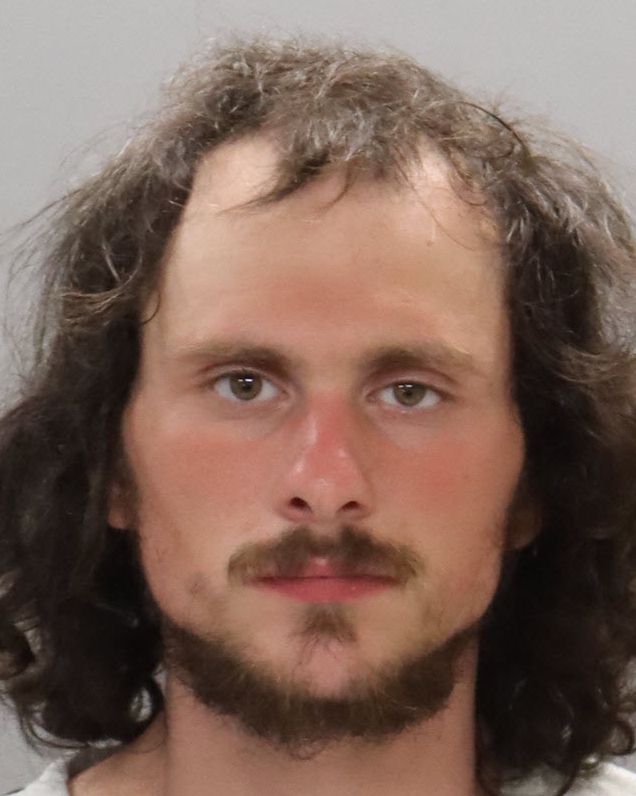 Mugshot of WILLIAM DAVID GOOSIE