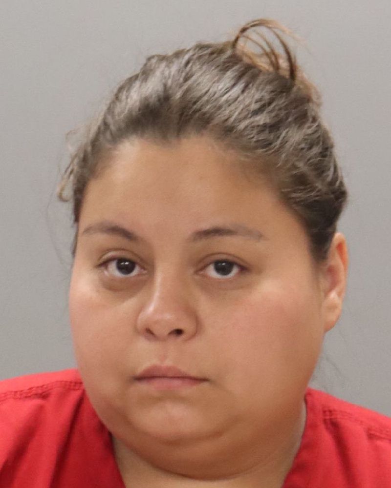 Mugshot of IRMA HERNANDEZ