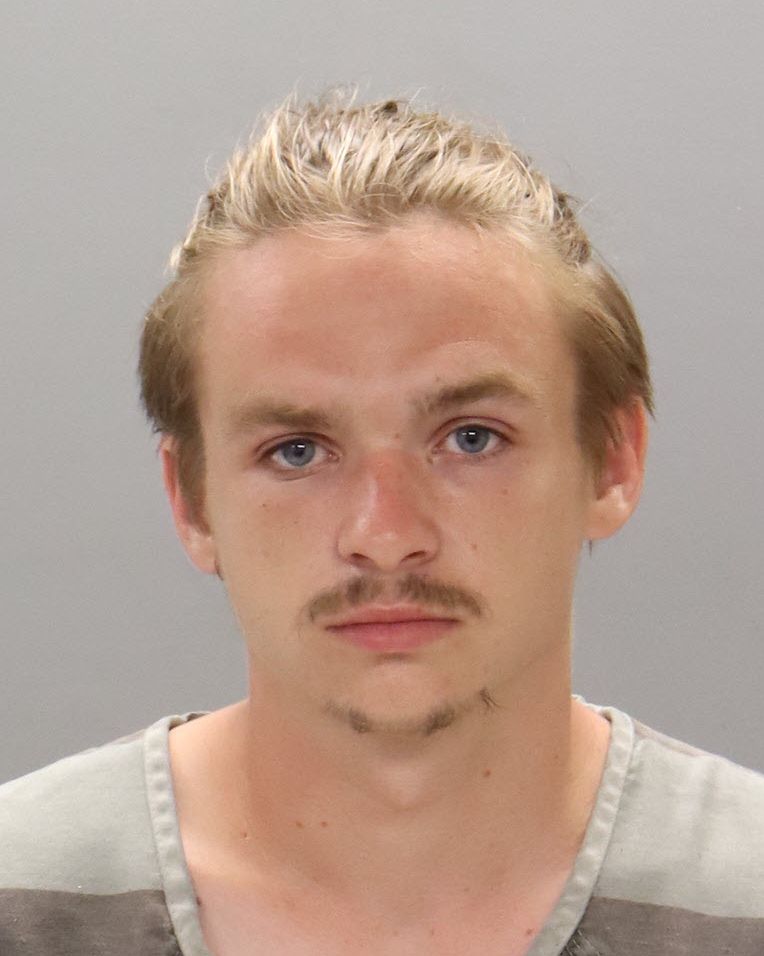 Mugshot of WALTER EDMUND WELLS
