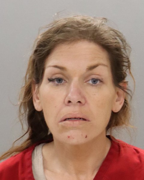 Mugshot of ARIELLE MICHELLE DULIN