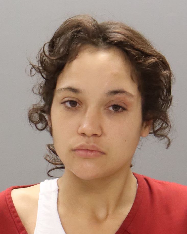 Mugshot of SHANETA DANIELLE WILLIAMS