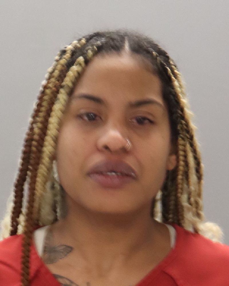 Mugshot of CHELSEA NICOLE HOUSTON