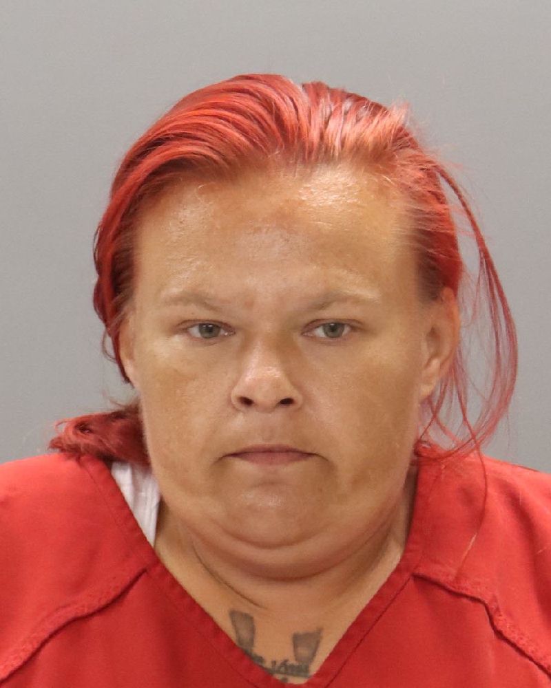 Mugshot of LINDA FAY MORRISON