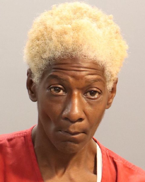 Mugshot of PATRINA ANN FAIR