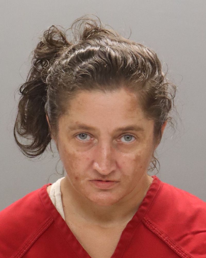 Mugshot of STACY LYNN MURR