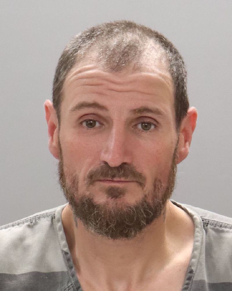 Mugshot of TERRY LYNN WOODS