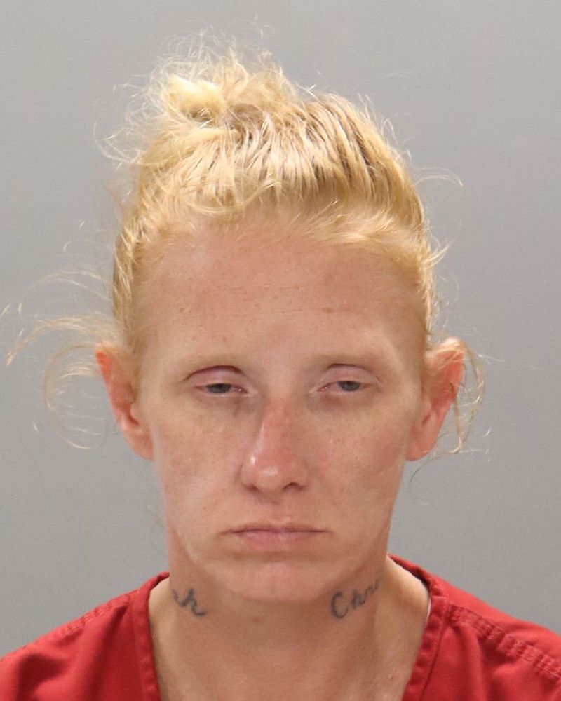 Mugshot of JOYCE FRANCES HISER