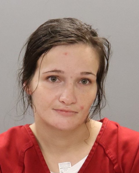 Mugshot of ASHLYN REANNE PONTHIER