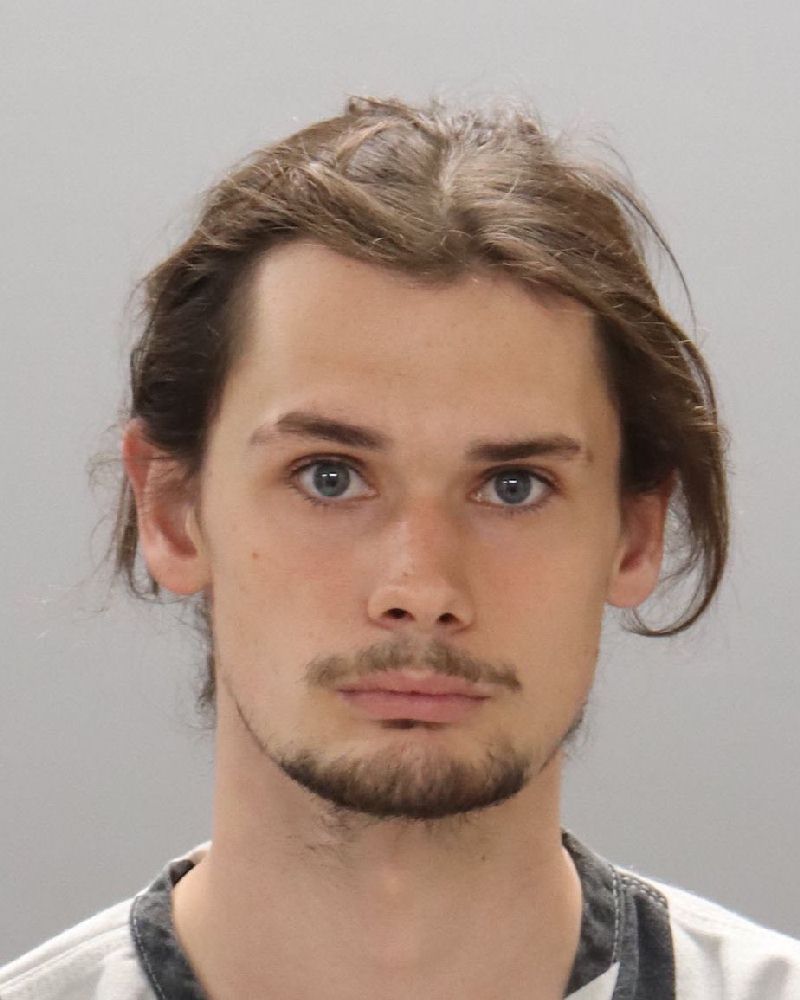 Mugshot of RONNIE DEWAYNE MAPLES