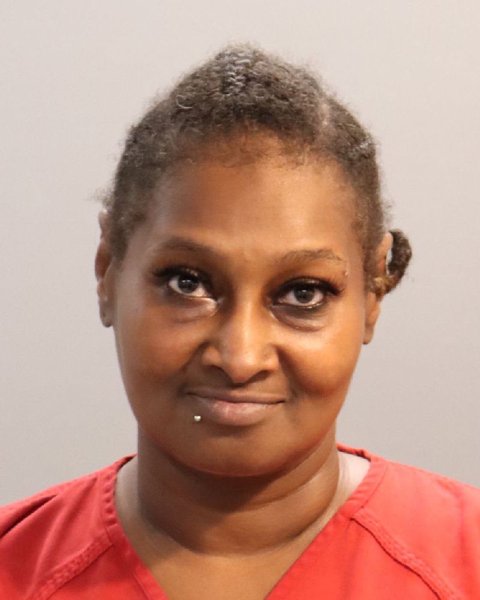 Mugshot of RESHA RAMONA-PERRION MITCHELL-FLACK