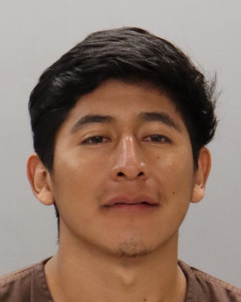 Mugshot of RONY PEREZ-ORTIZ