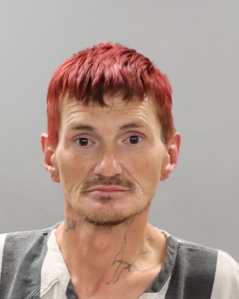 Mugshot of PAUL MICHAEL LENZ