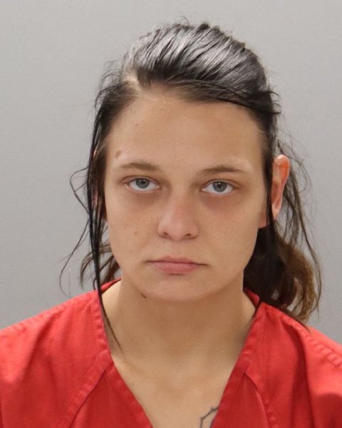 Mugshot of BETHANY SHIANN HOLLENHEAD