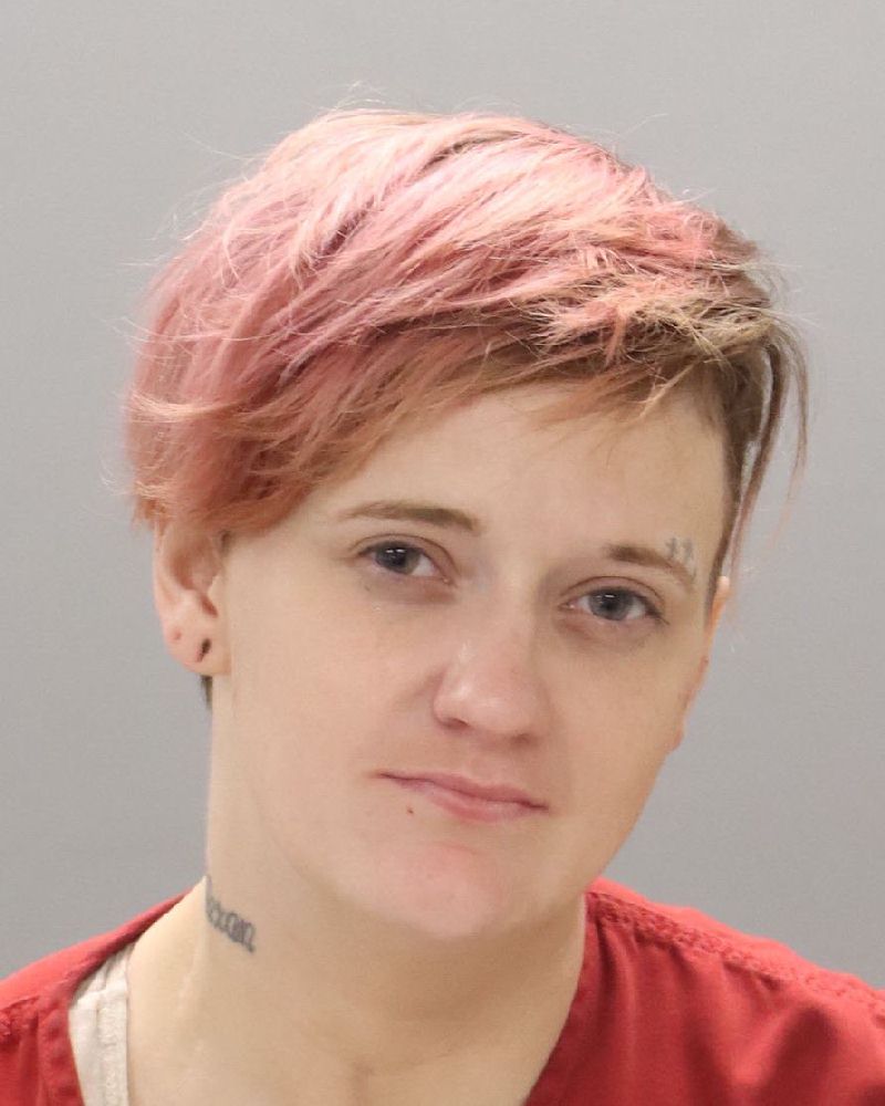 Mugshot of MEGAN LEANNE WELLS