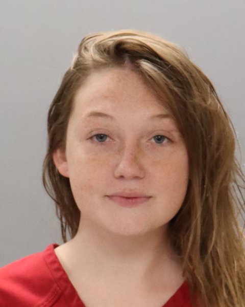 Mugshot of FAITH LAKE