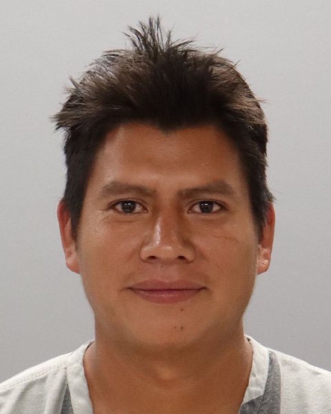Mugshot of ERVIN MATEO