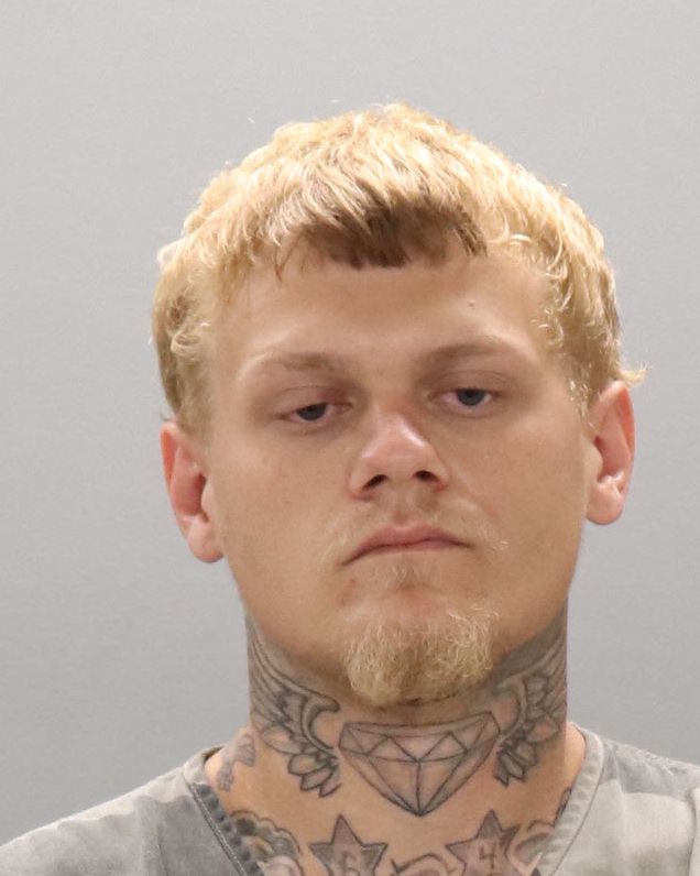 Mugshot of NICHOLAS VAUGHN WITT