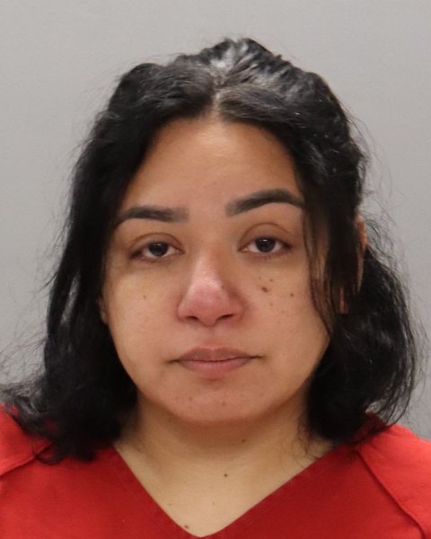 Mugshot of LILLIAN RIVAS RODRIGUEZ
