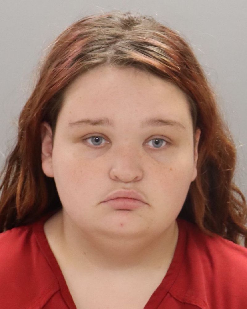 Mugshot of ELIZABETH JANE PROFFITT