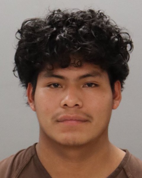 Mugshot of ALFREDO SALES-JIMENEZ