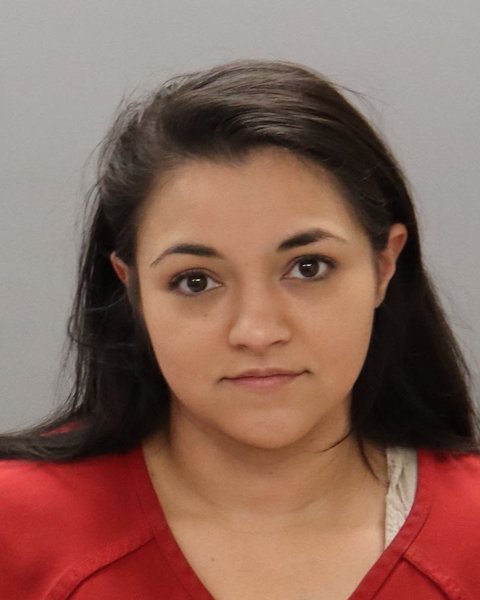 Mugshot of ANDREA LONG