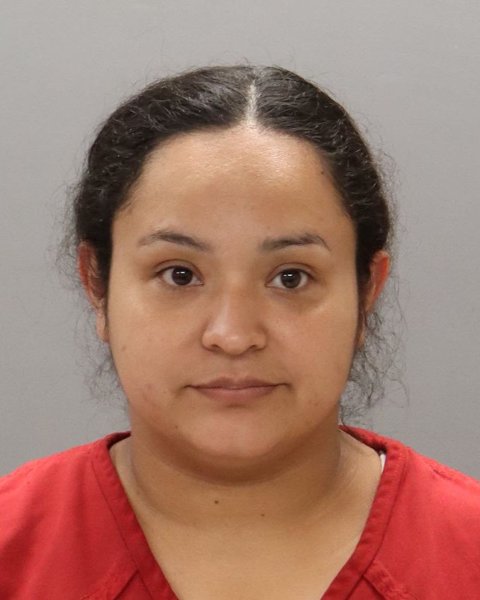 Mugshot of DINA TORRES-MALDONADO