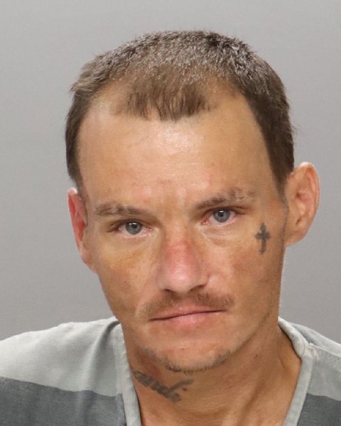 Mugshot of THOMAS DALE HOLT