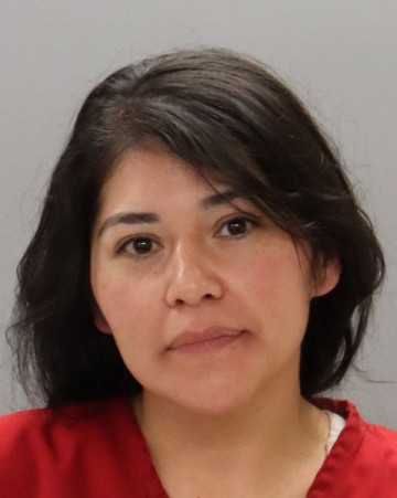Mugshot of ERICA LEA BRADLEY