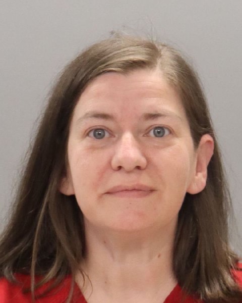 Mugshot of SHANNON DAWN FERGUSON