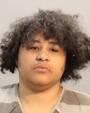 Mugshot of BRANDON CHRISTOPHER WELLS