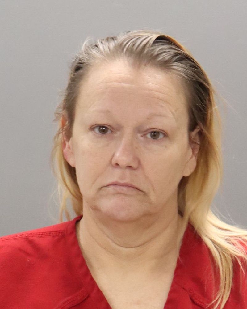 Mugshot of REGINA ANN DYER