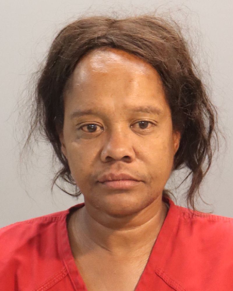 Mugshot of TAKIELA NICHOLE HINES