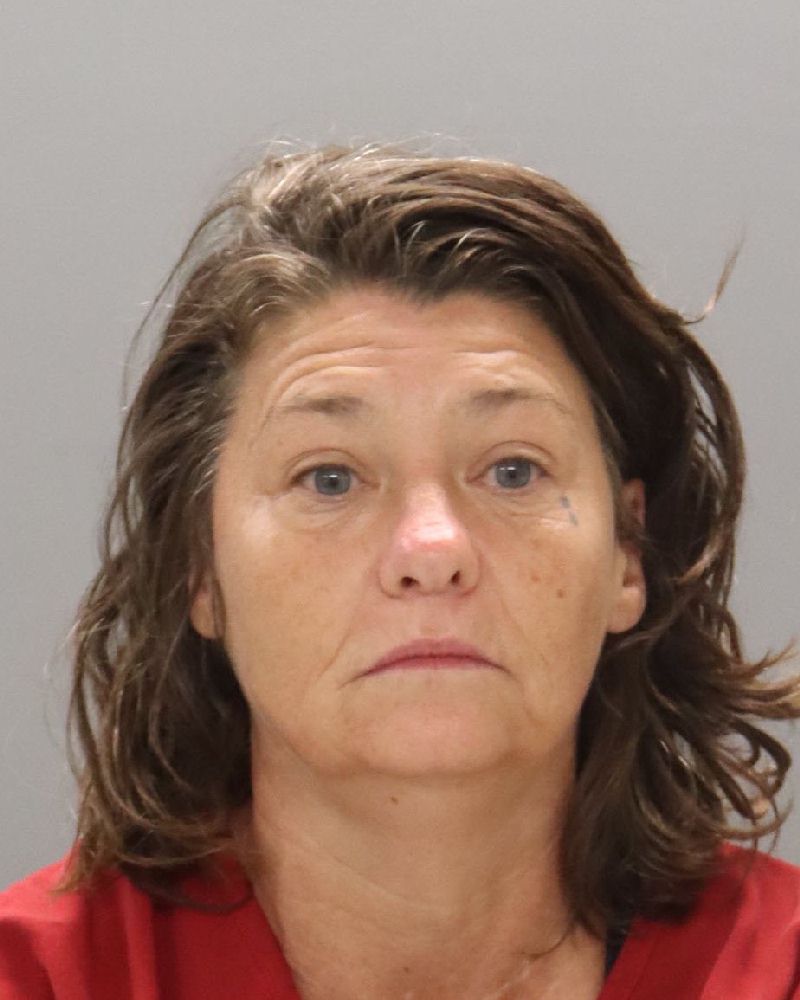 Mugshot of ALICE RENEE VICK