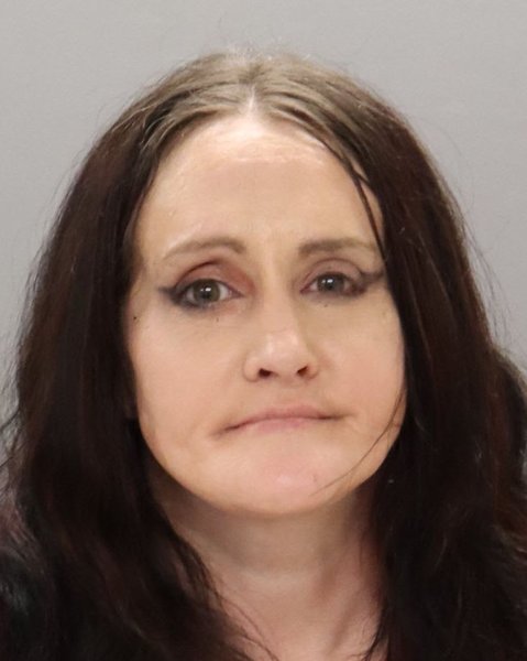 Mugshot of ANDREA IVY
