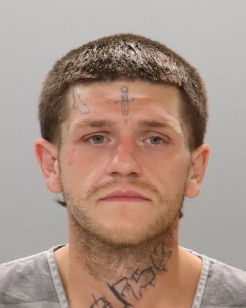 Mugshot of TREVER DILLON HOYT
