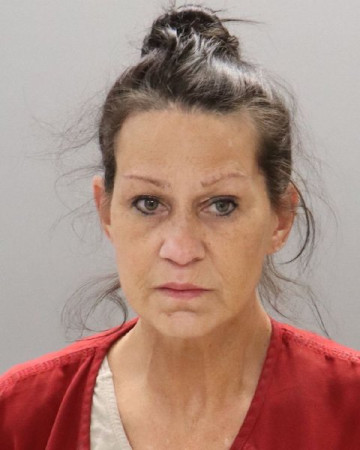 Mugshot of PATRICIA AILEEN JOHNSTON