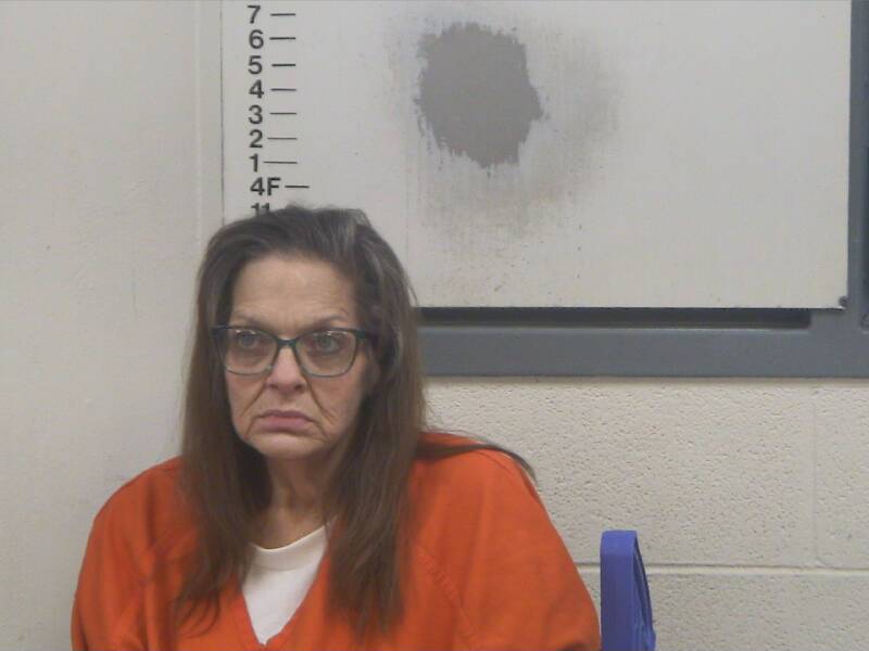 Mugshot of MELISSA SADLER